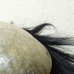 裏側土台の全面貼り替え